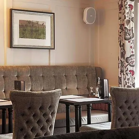 Trout Hotel
